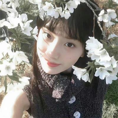 青春正好