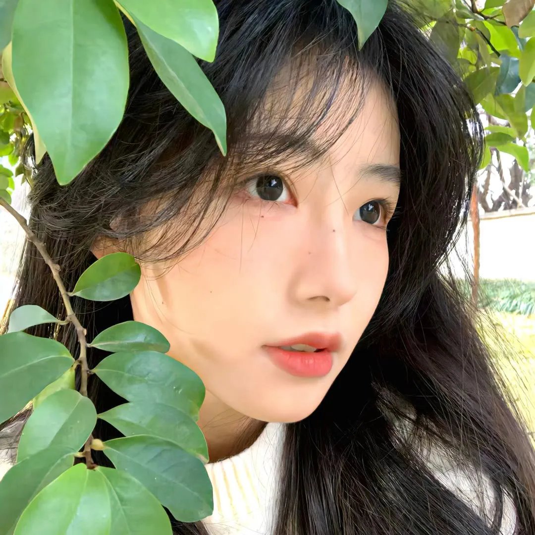 告密者